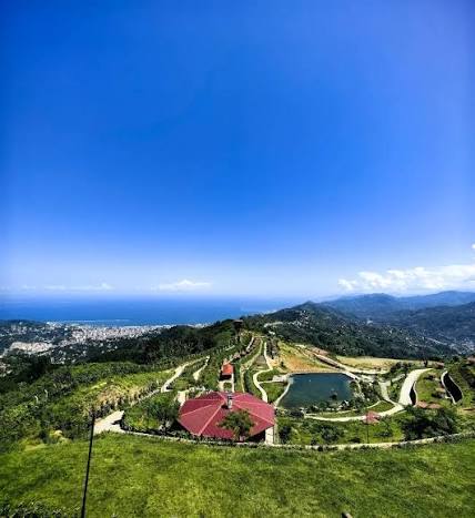 Rize Turu